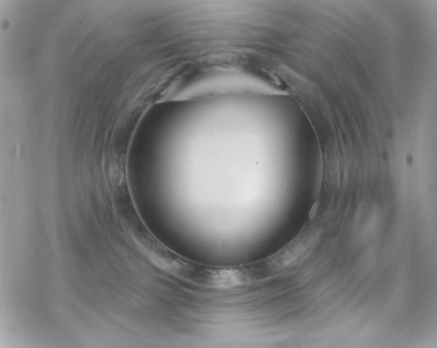 X0000070240091200606051136