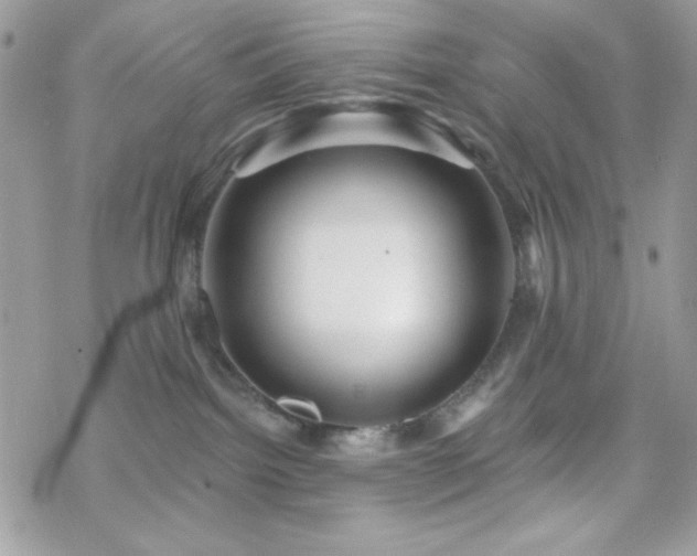 X0000070240092200606051136