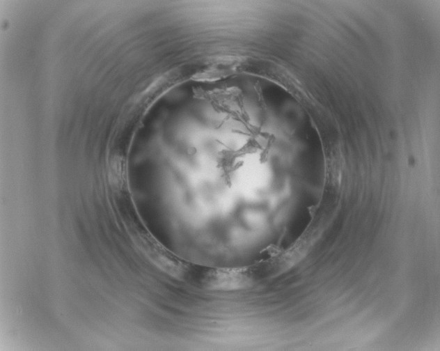 X0000070240093200606051136