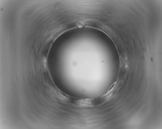 X0000070240094200606051136