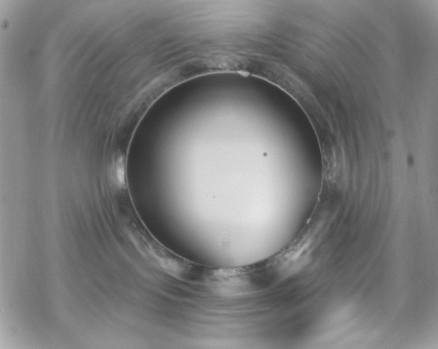 X0000070240095200606051136