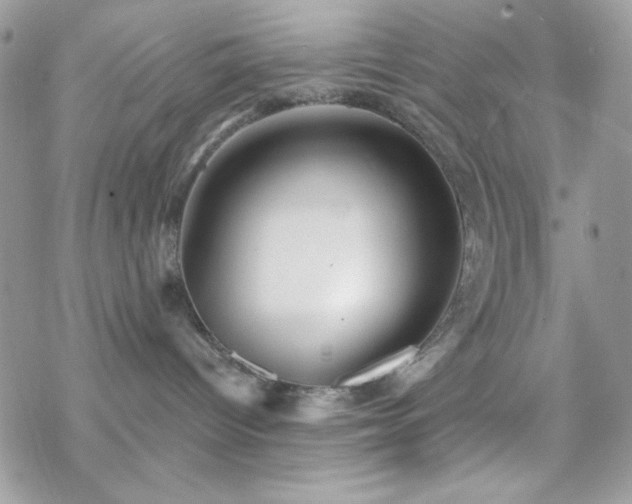 X0000070240096200606051136