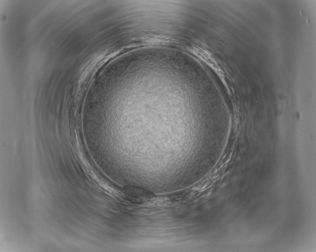 X0000070240097200606051135