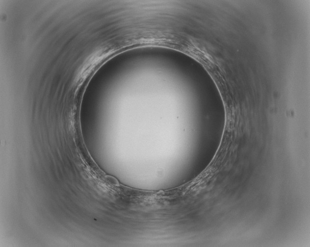 X0000070240098200606051135