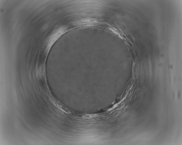 X0000070240099200606051135