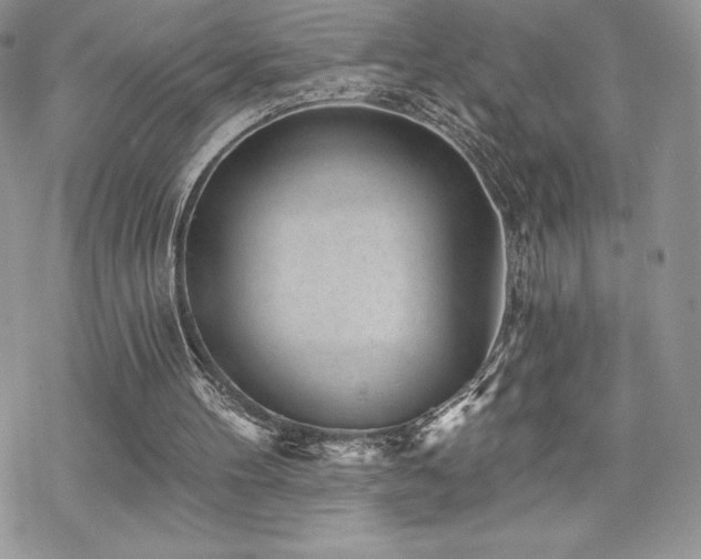 X0000070240100200606051135