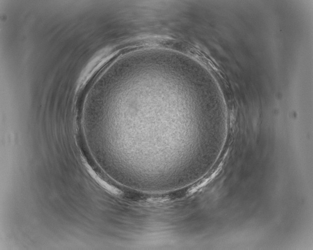 X0000070240101200606051135