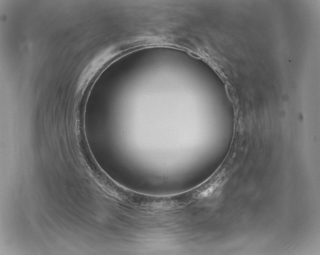 X0000070240103200606051135