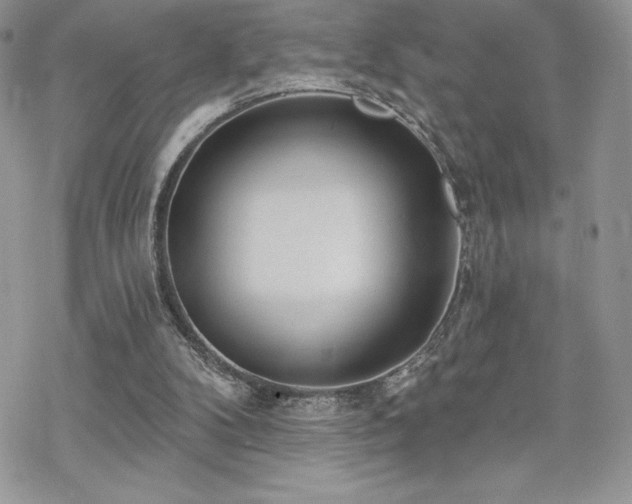 X0000070240104200606051135