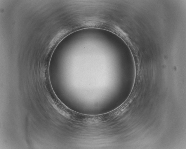 X0000070240106200606051135