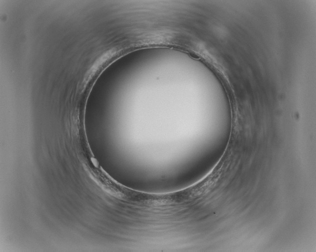 X0000070240107200606051135