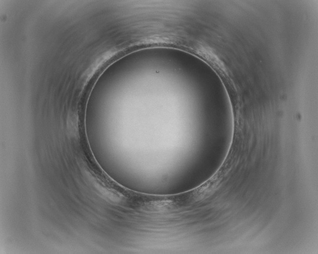 X0000070240108200606051135