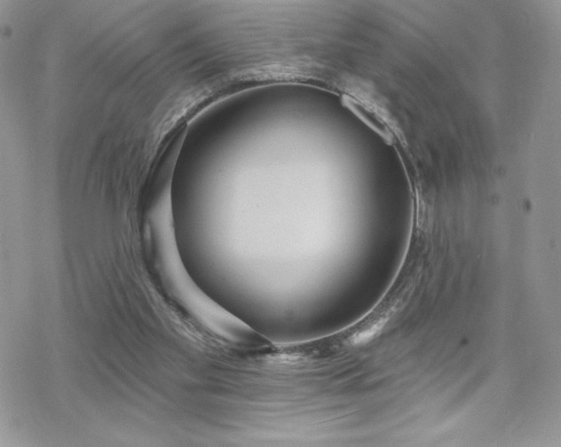 X0000070240109200606051135