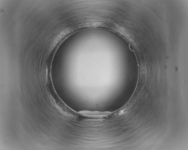 X0000070240110200606051135