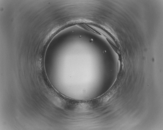 X0000070240111200606051135