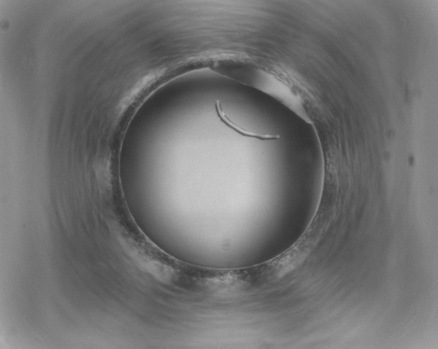 X0000070240112200606051135