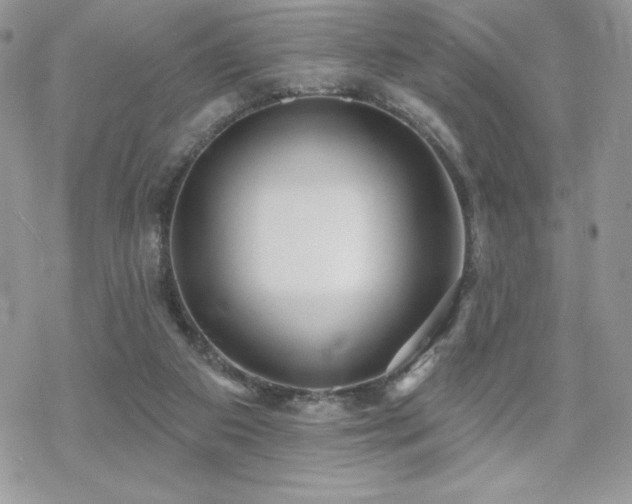 X0000070240113200606051135