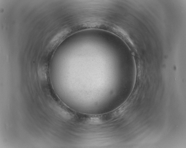 X0000070240114200606051135