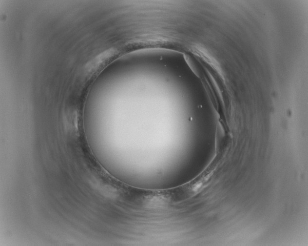 X0000070240115200606051135