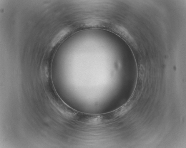 X0000070240116200606051135