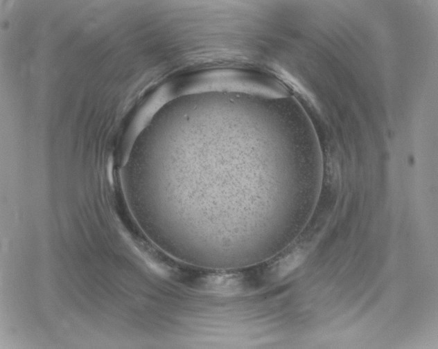 X0000070240117200606051135