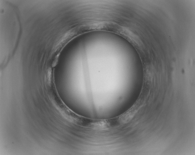 X0000070240118200606051134