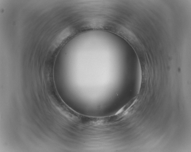 X0000070240120200606051134