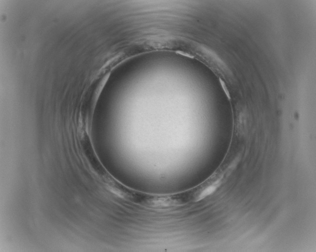 X0000070240121200606051134