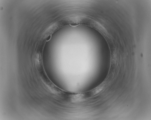 X0000070240122200606051134