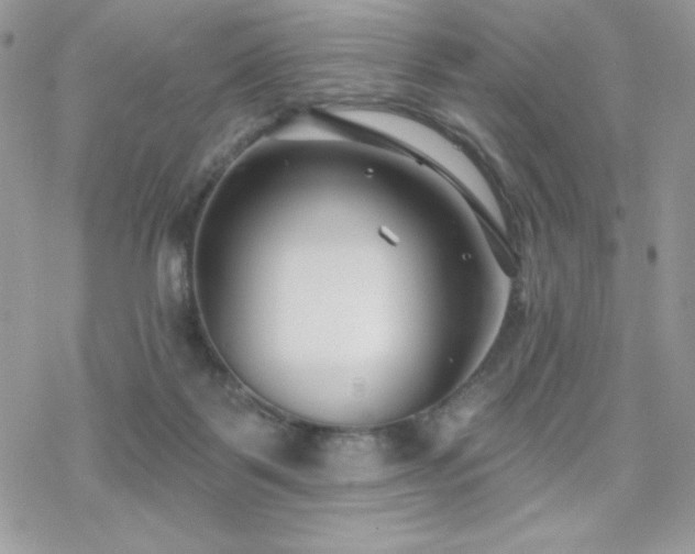 X0000070240123200606051134