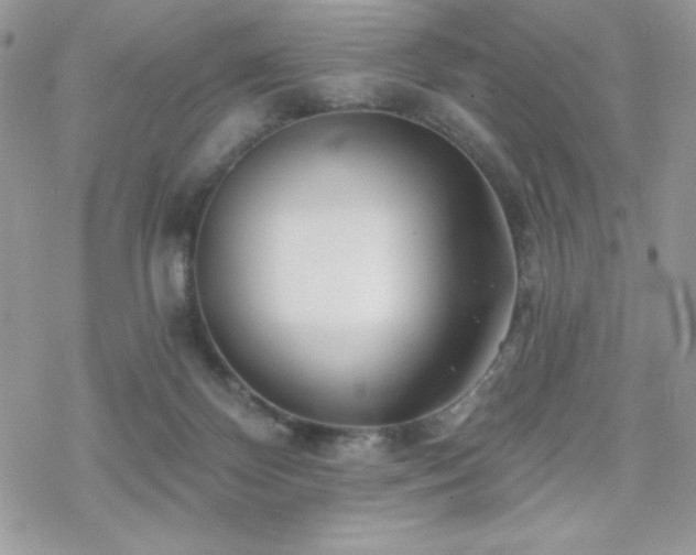 X0000070240124200606051134