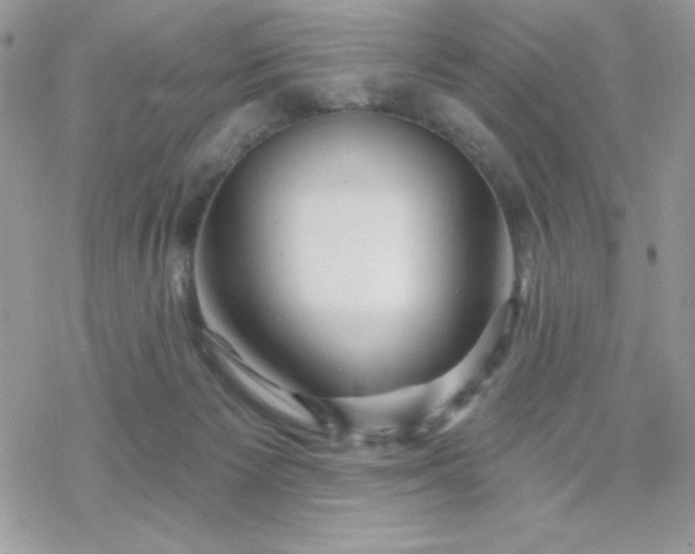 X0000070240125200606051134