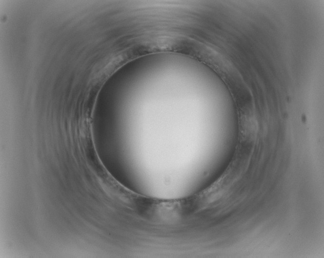 X0000070240126200606051134