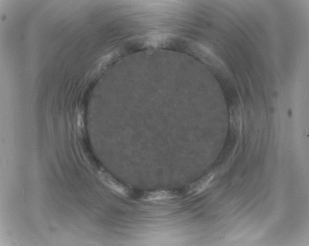 X0000070240127200606051134