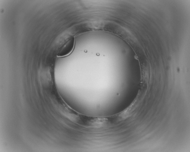 X0000070240128200606051134