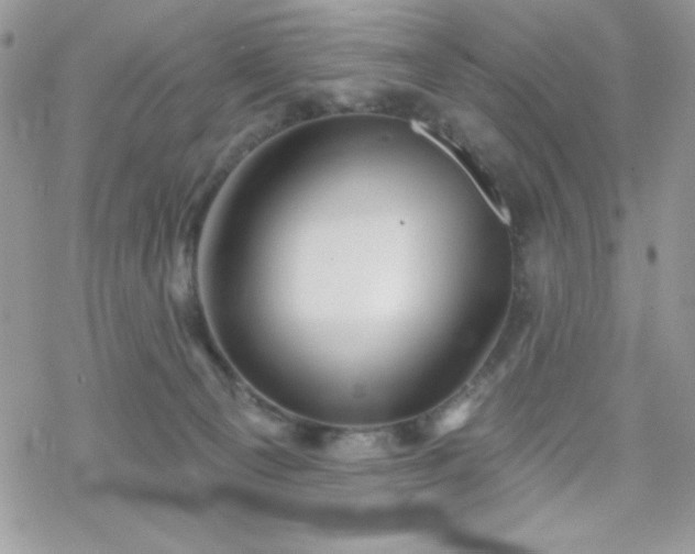 X0000070240129200606051134