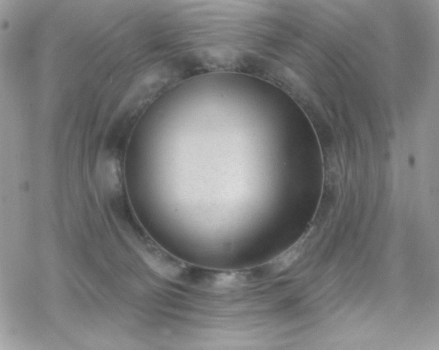 X0000070240130200606051134