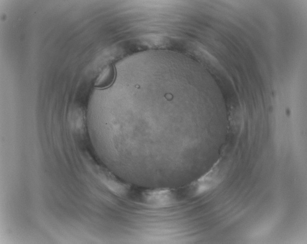 X0000070240132200606051134