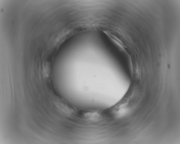 X0000070240133200606051134