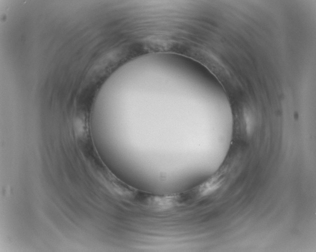 X0000070240134200606051134