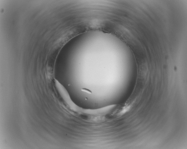 X0000070240135200606051134