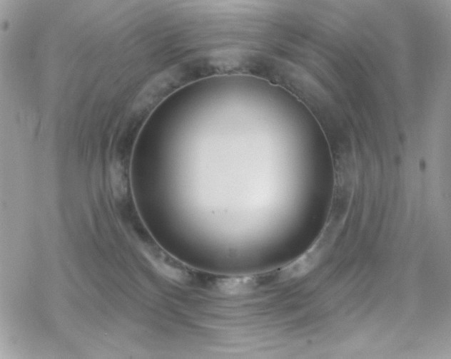 X0000070240136200606051134