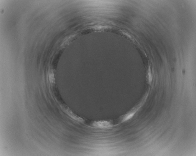 X0000070240137200606051134