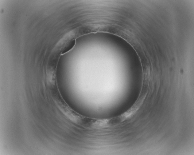 X0000070240138200606051134