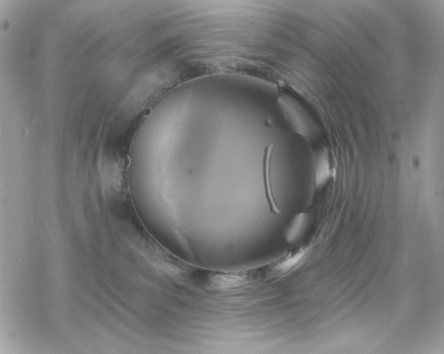 X0000070240139200606051134