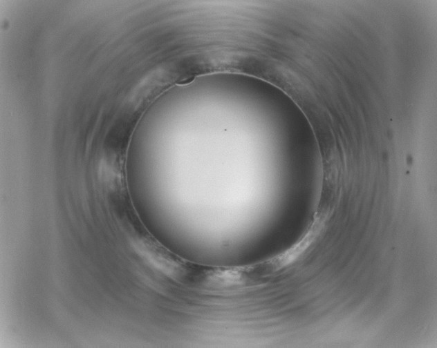 X0000070240140200606051134