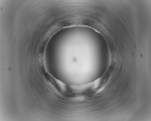 X0000070240141200606051134