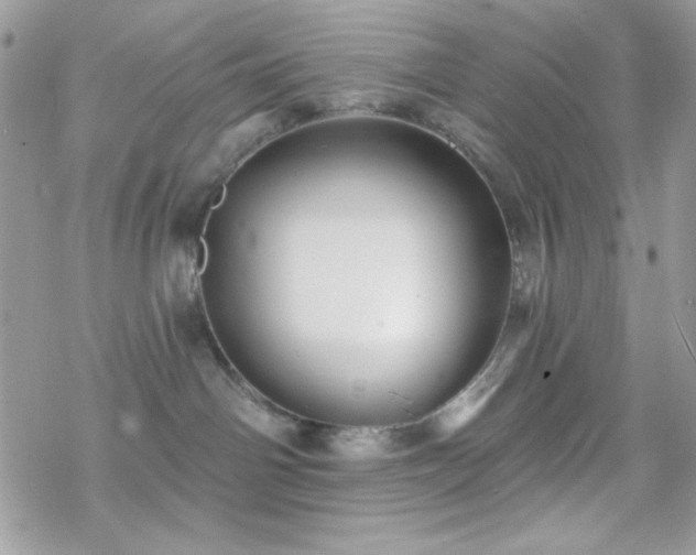 X0000070240142200606051134