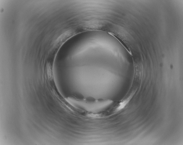 X0000070240143200606051134