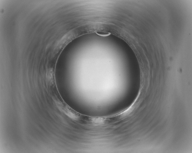 X0000070240144200606051134